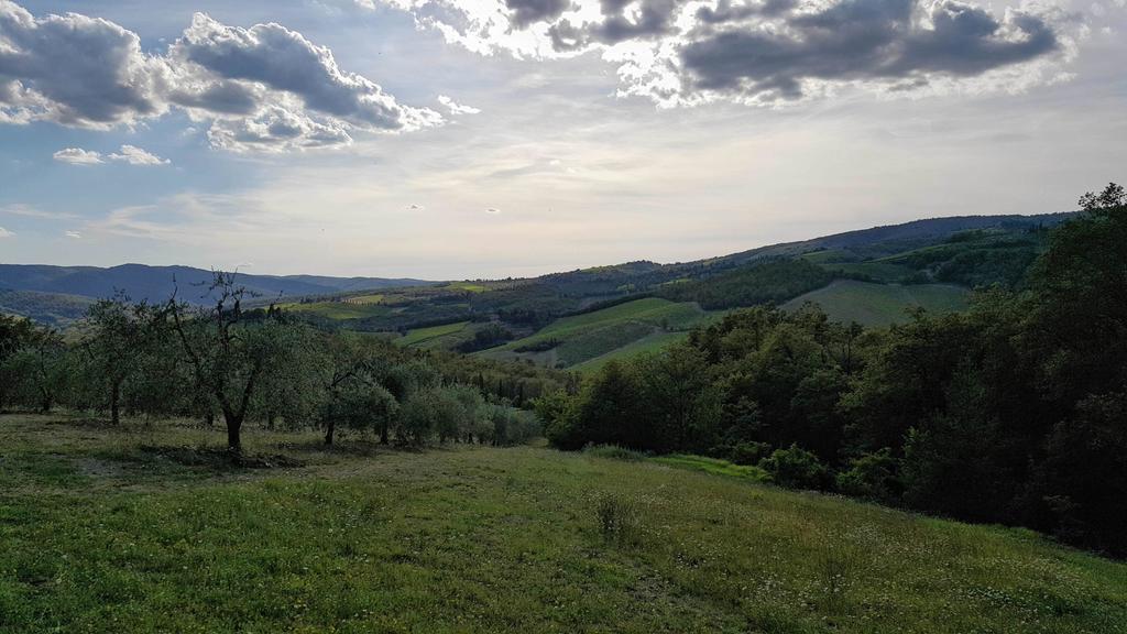 Holiday House Le Selvole Radda in Chianti Exteriér fotografie