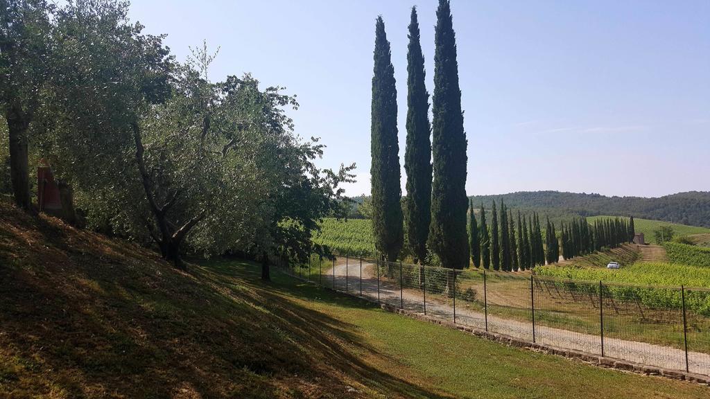 Holiday House Le Selvole Radda in Chianti Exteriér fotografie