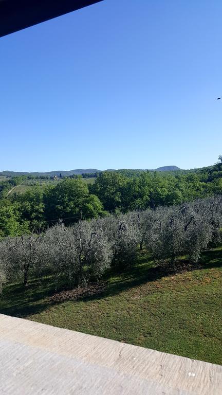 Holiday House Le Selvole Radda in Chianti Exteriér fotografie