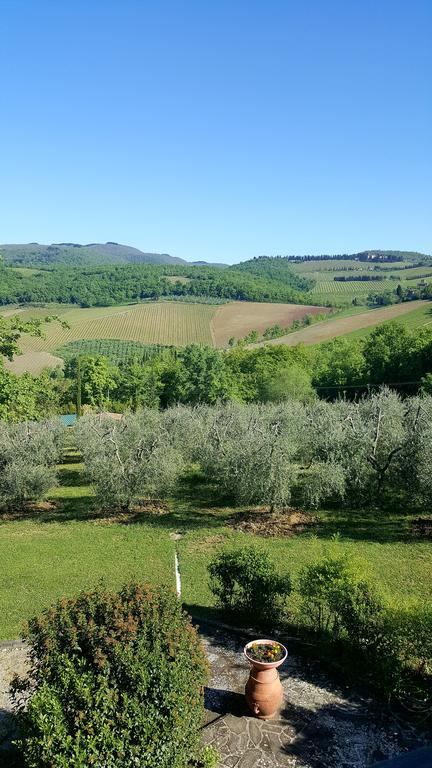 Holiday House Le Selvole Radda in Chianti Exteriér fotografie