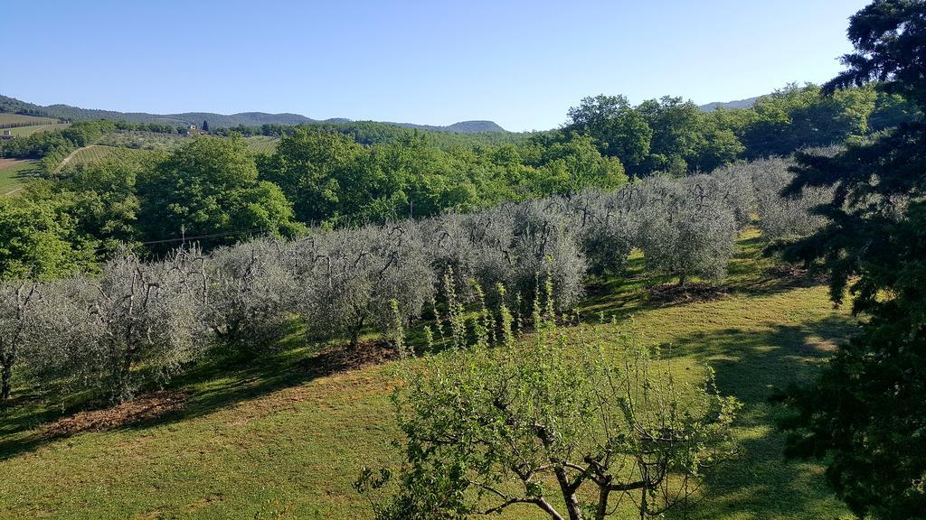 Holiday House Le Selvole Radda in Chianti Exteriér fotografie