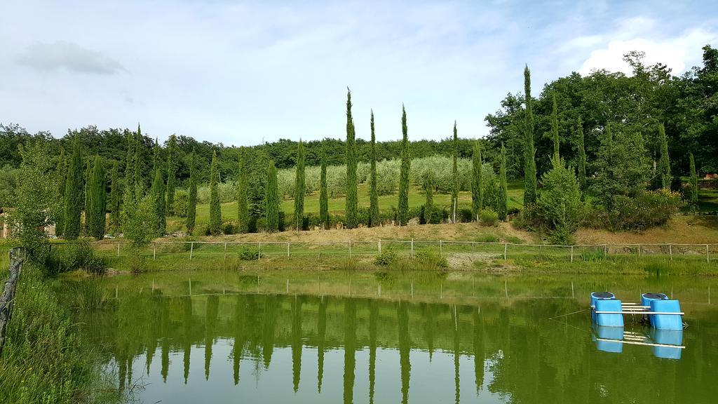 Holiday House Le Selvole Radda in Chianti Exteriér fotografie